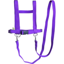 Helga Kreft Zügelmatz Pferdespielleine, Lila